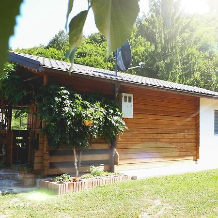 Studio Apartman Firdaus-Bihac, Dobrenica Bb Zewnętrze zdjęcie