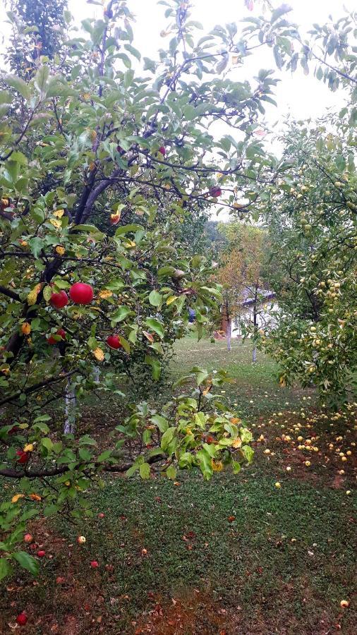 Studio Apartman Firdaus-Bihac, Dobrenica Bb Zewnętrze zdjęcie