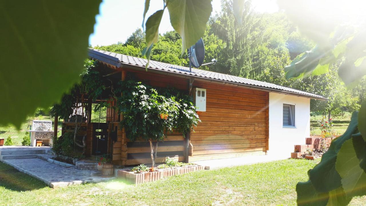 Studio Apartman Firdaus-Bihac, Dobrenica Bb Zewnętrze zdjęcie